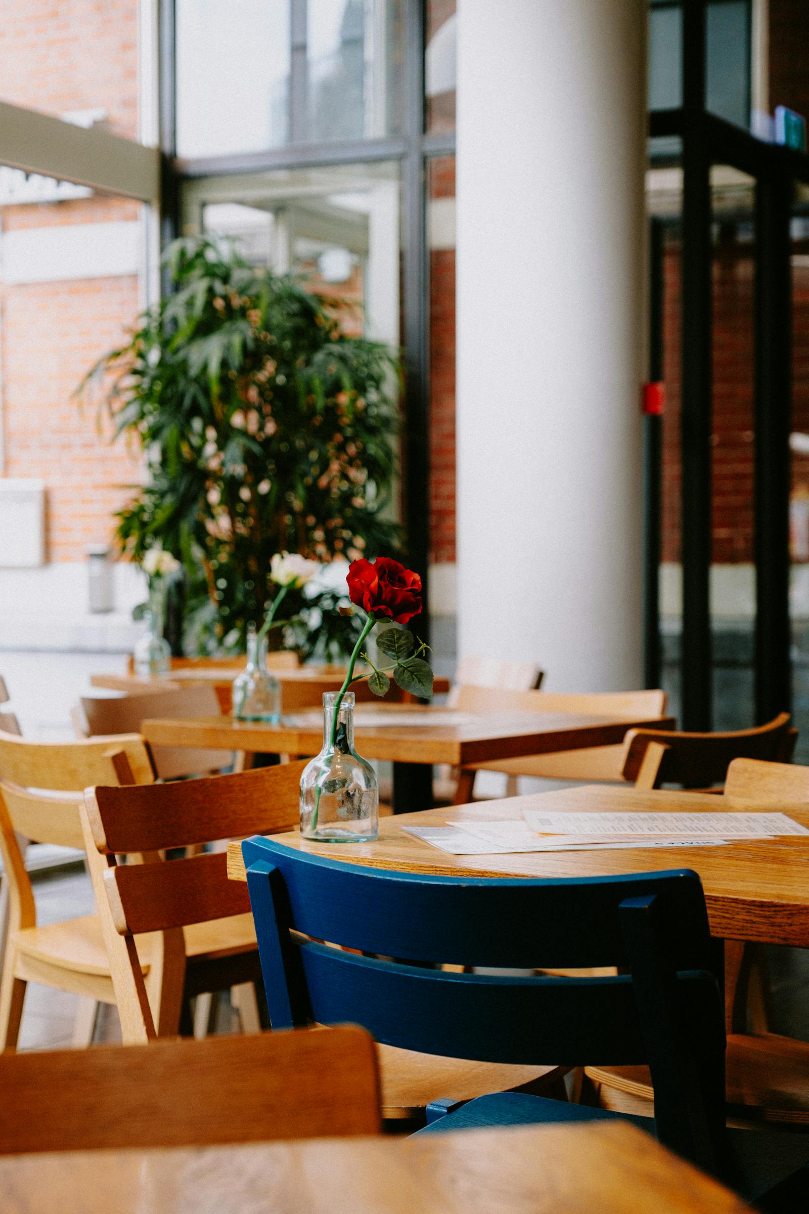 Modern cafe and restaurant interior with wooden tables and chairs